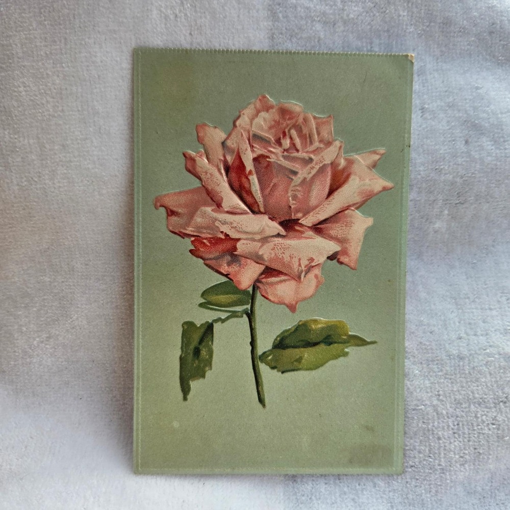 Vintage Pink Rose Embossed Postcard W.G.‎ MacFarlane 1910 Big Rapids Michigan